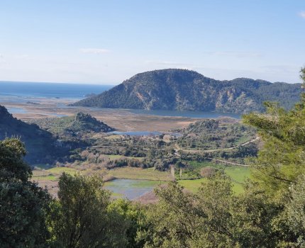 DTE1344 Çandır Köyünde Deniz Manzaralı Tapulu Tarla