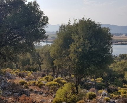 DTE1346  plajına 200m2 mesafede arazi