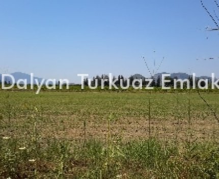 DTE1350 Dalyan, Karadağ'da Müstakil Tapulu Boş Tarla.