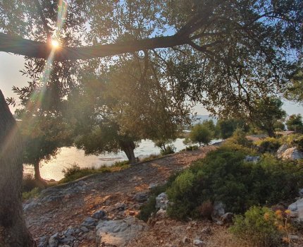 DTE1345 plajına 200m2 mesafede arazi